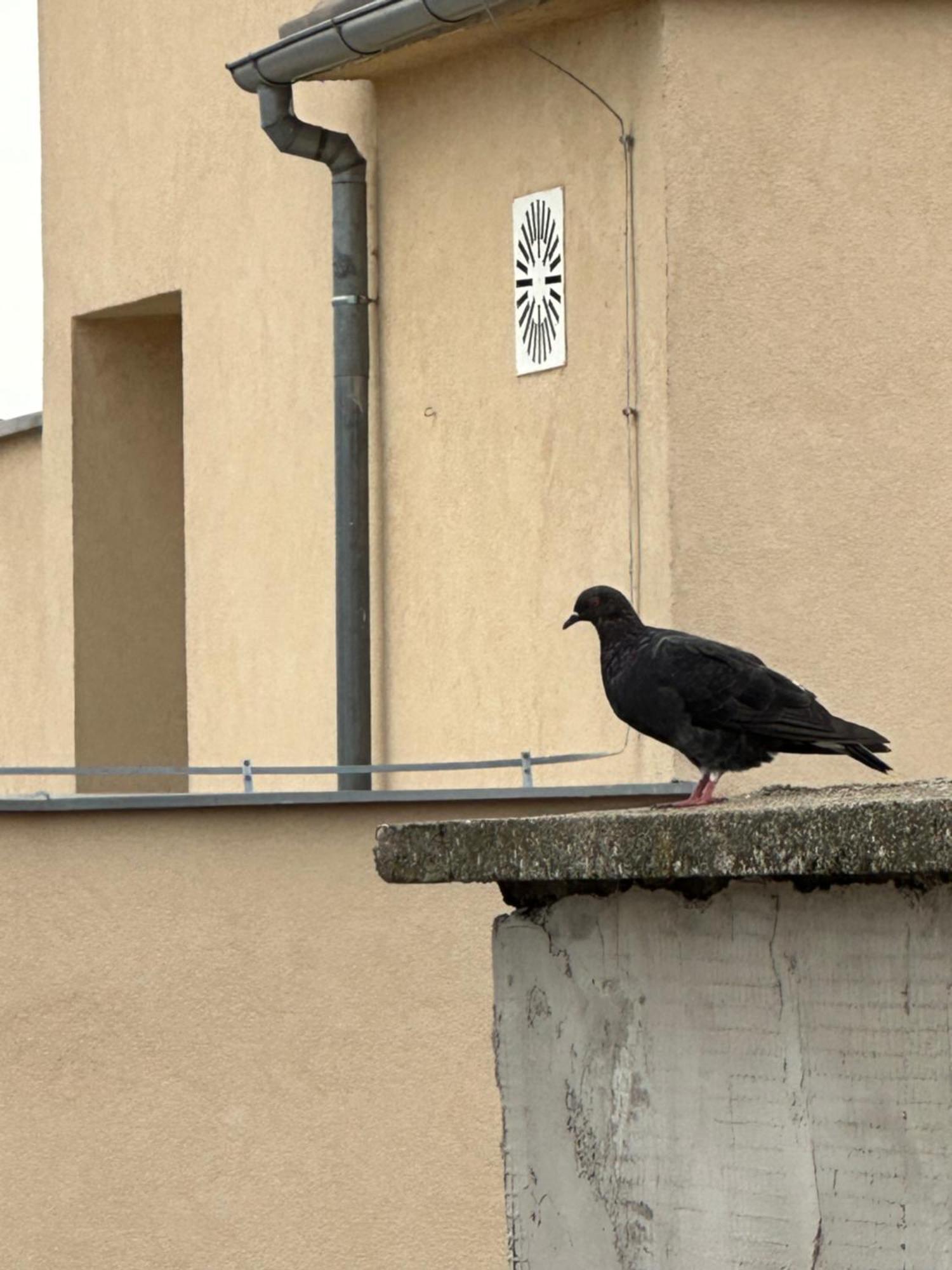 Apartment Hideaway ザグレブ エクステリア 写真